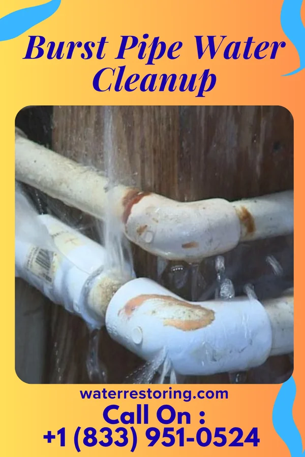 Burst Pipe Water Cleanup in Kechi, KS